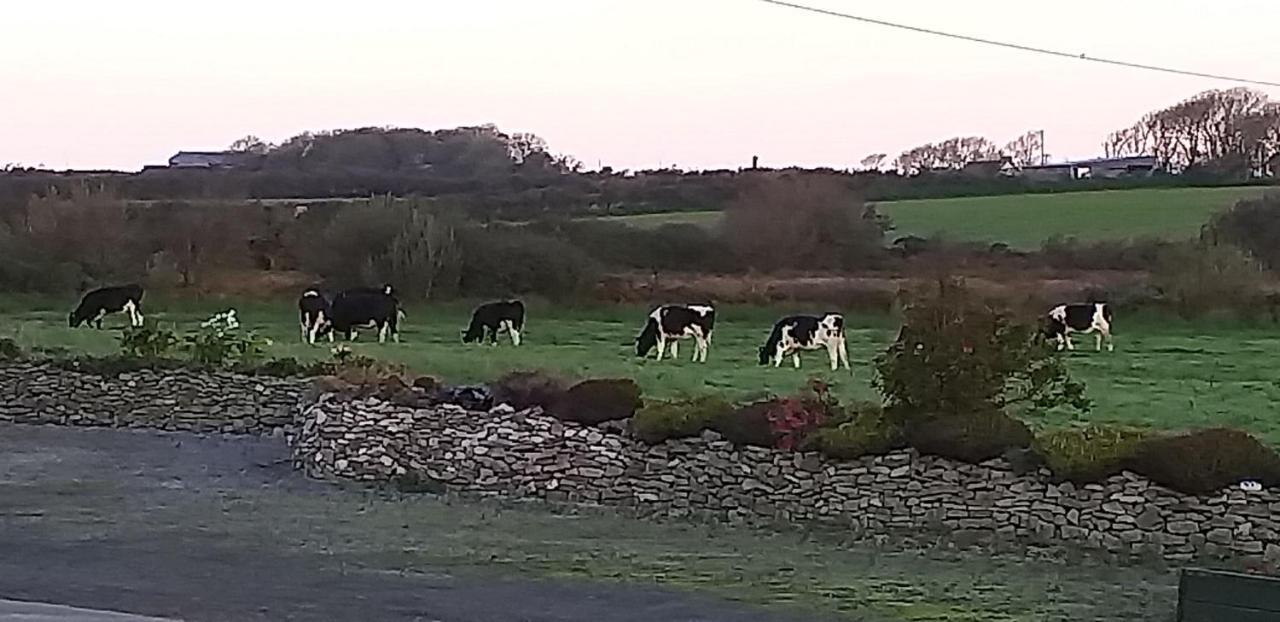 Murphys Irish Farmhouse Tralee Eksteriør bilde